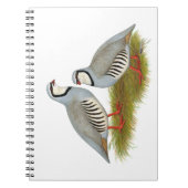 Chukar Partridge Pair Notizblock (Vorderseite)