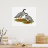 Chukar Partridge Pair Poster (Küche)