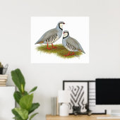 Chukar Partridge Pair Poster (Heimbüro)