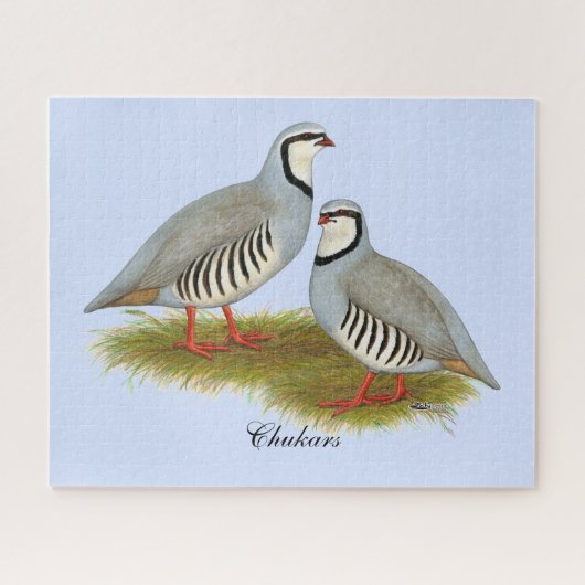 Chukar Partridge Pair Puzzle (Horizontal)