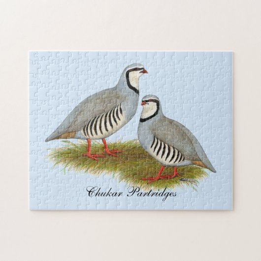 Chukar Partridge Pair Puzzle (Horizontal)