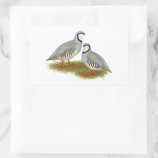 Chukar Partridge Pair Rechteckiger Aufkleber (Tasche)