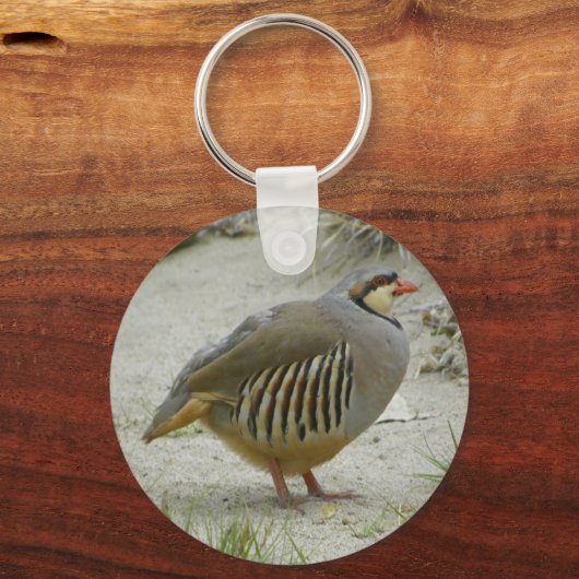 Chukar Partridge Schlüsselanhänger (Vorderseite)
