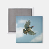 Chukar-Patrone Magnet (Vorderseite/Rückseite)