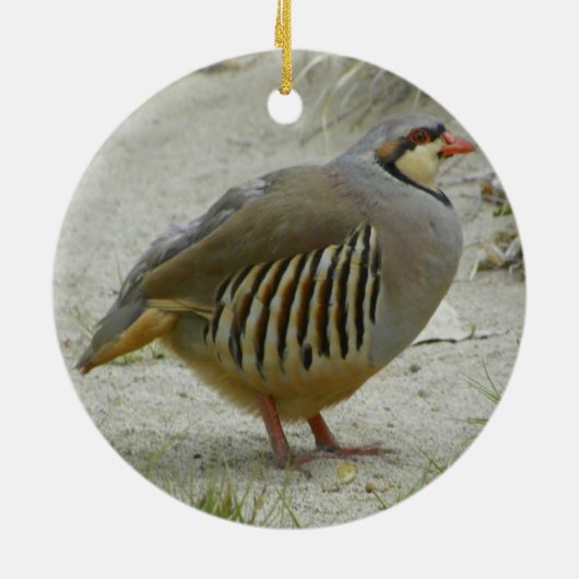 Chukar Rebhuhn Keramikornament (Hinten)