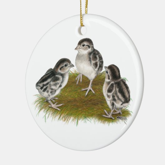 Chukar Rebhuhn-Küken Keramikornament (Links)