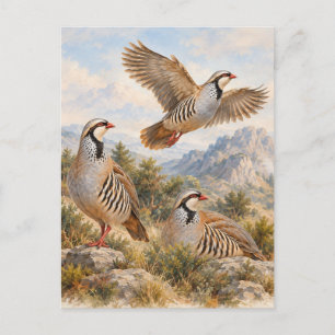 Chukar Rebhuhn-Kunst Postkarte