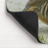 Chukar Rebhuhn Mousepad (Ecke)