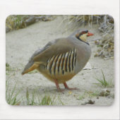 Chukar Rebhuhn Mousepad (Vorne)