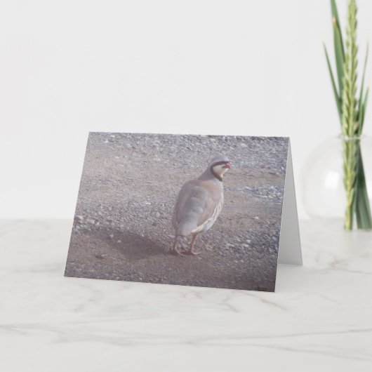 Chukar Weihnachtskarte Feiertagskarte (Vorderseite)