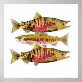 Chum Salmon Art Poster (Vorne)
