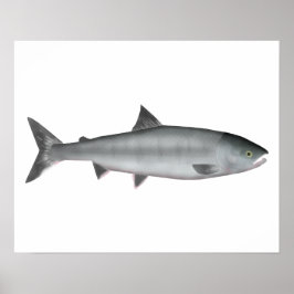Chum Salmon Ozean Poster