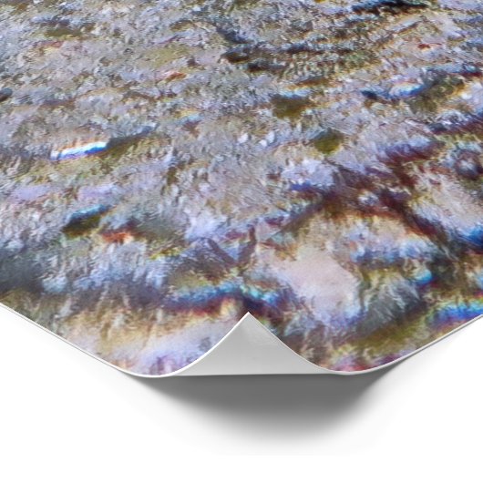 Chuncky Lionfish Poster (Ecke)