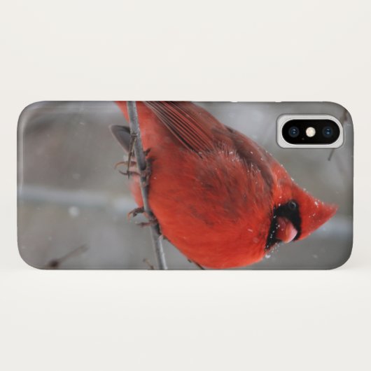 Chunky Bright Red Male Kardinal im Winterschnee Case-Mate iPhone Hülle (Rückseite (Horizontal))