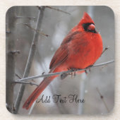 Chunky Bright Red Male Kardinal im Winterschnee Getränkeuntersetzer (Vorderseite)