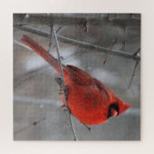 Chunky Bright Red Male Kardinal im Winterschnee Puzzle (Horizontal)