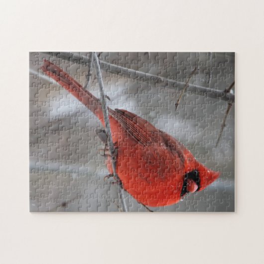 Chunky Bright Red Male Kardinal im Winterschnee Puzzle (Horizontal)