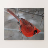 Chunky Bright Red Male Kardinal im Winterschnee Puzzle (Horizontal)