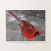 Chunky Bright Red Male Kardinal im Winterschnee Puzzle (Horizontal)