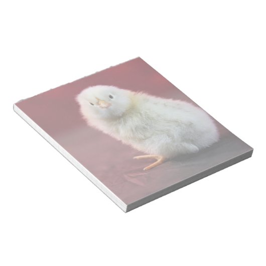 Chunky Chicky Notizblock (angewinkelt)