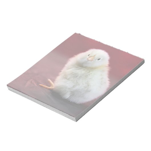 Chunky Chicky Notizblock (Rotiert)