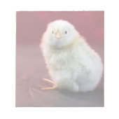 Chunky Chicky Notizblock (Vorderseite)