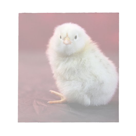 Chunky Chicky Notizblock (Vorderseite)
