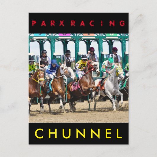 Chunnel #8 Harpoon #7 Postkarte (Vorderseite)