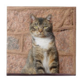 Church Cat Fliese (Vorderseite)