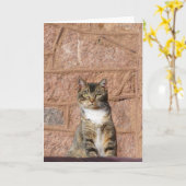 Church Cat Karte (Gelbe Blume)