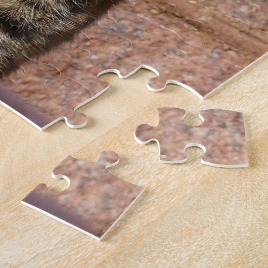 Church Cat Puzzle (Seite)