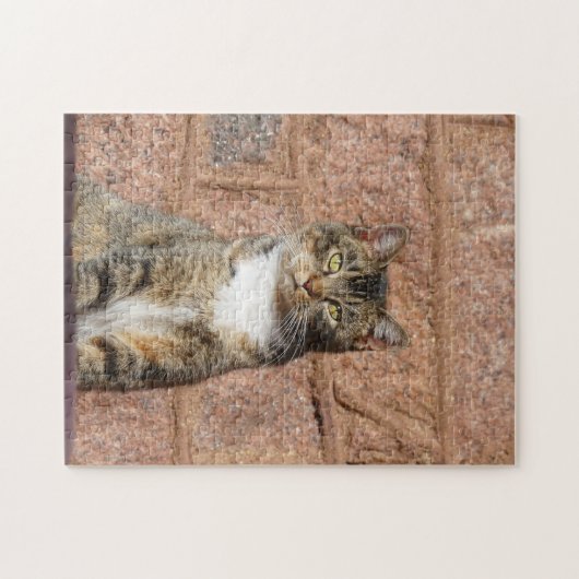 Church Cat Puzzle (Horizontal)