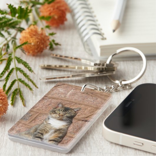 Church Cat Schlüsselanhänger (Vorderseite rechts)