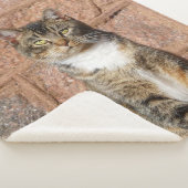 Church Cat Sherpadecke (3/4)