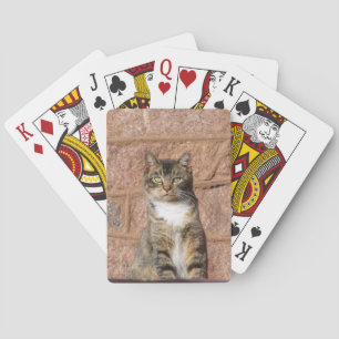 Church Cat Spielkarten