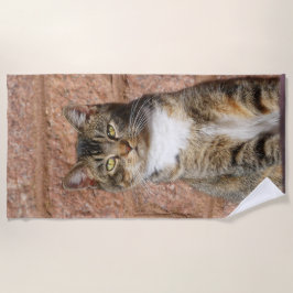 Church Cat Strandtuch