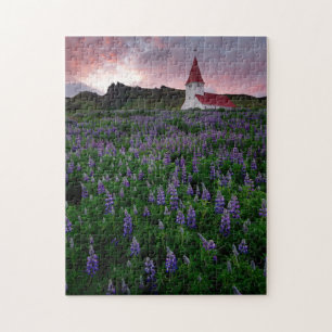 Church in Field of Lupine Wildblumen in Island Puzzle