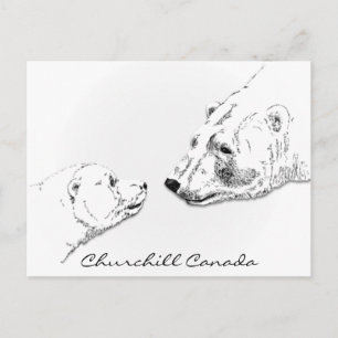 Churchill Canada Postcard Polar Bear Art Cards Postkarte