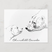 Churchill Canada Postcard Polar Bear Art Cards Postkarte (Vorderseite)