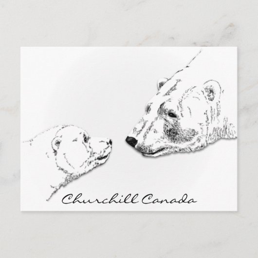 Churchill Canada Postcard Polar Bear Art Cards Postkarte (Vorderseite)