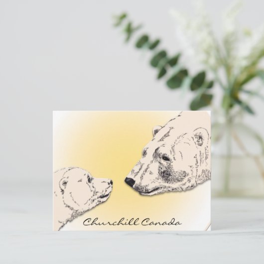 Churchill Canada Postcard Polar Bear Art Cards Postkarte (Stehend Vorderseite)