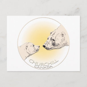 Churchill Canada Postcard Polar Bear Art Cards Postkarte