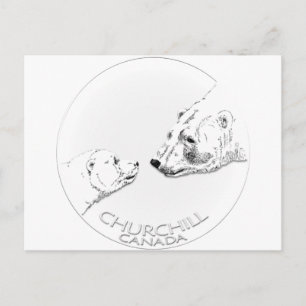 Churchill Souvenirs Polar Bären Kunst Shirt und Ge Postkarte