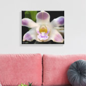 Chysis Violacea Leinwanddruck (Insitu (Wohnzimmer))