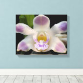 Chysis Violacea Leinwanddruck (Insitu (Holzboden))