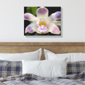 Chysis Violacea Leinwanddruck (Insitu (Schlafzimmer))