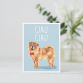 Ciao Ciao sagt Chow Chow Dog Funny Pub Postkarte (Stehend Vorderseite)
