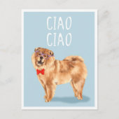 Ciao Ciao sagt Chow Chow Dog Funny Pub Postkarte (Vorderseite)