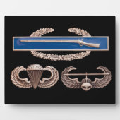 CIB Im Flugzeug Air Assault Fotoplatte (Vorderseite)