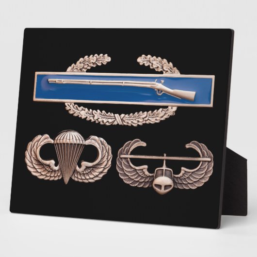 CIB Im Flugzeug Air Assault Fotoplatte (Seite)